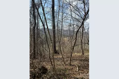 1820 Grapevine Road, Marshall, NC 28753 - Photo 28