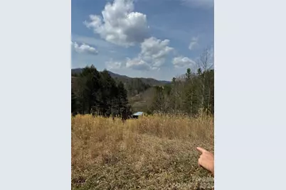 1820 Grapevine Road, Marshall, NC 28753 - Photo 36