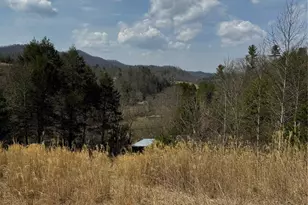 1820 Grapevine Rd, Marshall, NC 28753 - Photo 36