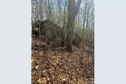 1820 Grapevine Road, Marshall, NC 28753 - Photo 26