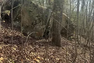 1820 Grapevine Rd, Marshall, NC 28753 - Photo 26