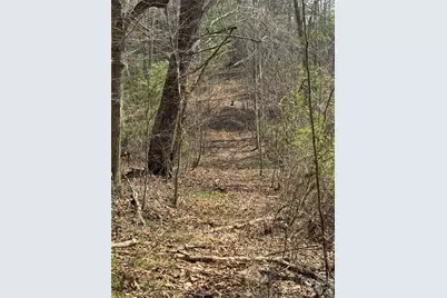 1820 Grapevine Road, Marshall, NC 28753 - Photo 34