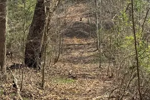 1820 Grapevine Rd, Marshall, NC 28753 - Photo 34