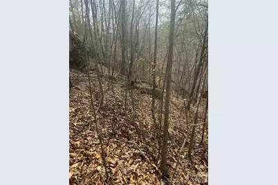 1820 Grapevine Road, Marshall, NC 28753 - Photo 28