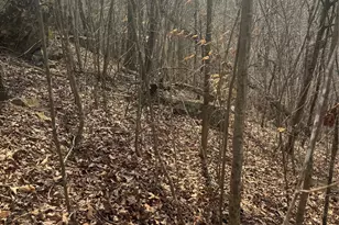 1820 Grapevine Rd, Marshall, NC 28753 - Photo 28