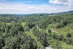 1820 Grapevine Rd, Marshall, NC 28753 - Photo 10