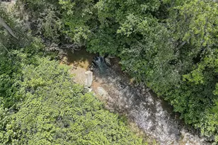 1820 Grapevine Rd, Marshall, NC 28753 - Photo 2