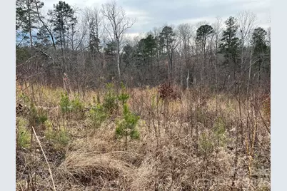 00 Shady Bark Lane #52, Rutherfordton, NC 28139 - Photo 24