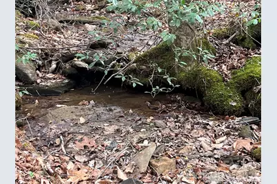 00 Shady Bark Lane #52, Rutherfordton, NC 28139 - Photo 14