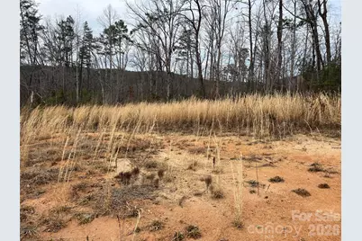 00 Shady Bark Lane #52, Rutherfordton, NC 28139 - Photo 20