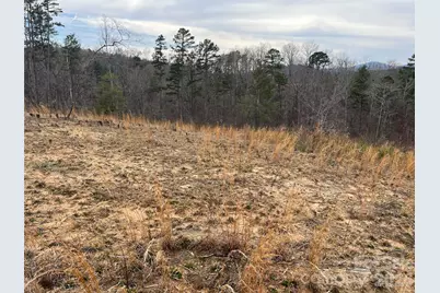 00 Shady Bark Lane #52, Rutherfordton, NC 28139 - Photo 22