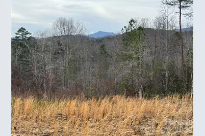 00 Shady Bark Lane #52, Rutherfordton, NC 28139 - Photo 20