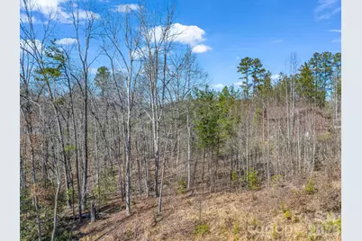 00 Shady Bark Lane #52, Rutherfordton, NC 28139 - Photo 42