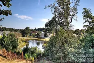 901 Platinum Dr, Fort Mill, SC 29708 - Photo 40