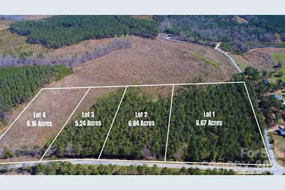 00 Bobby Faucette Road #1, Jonesville, SC 29353 - Photo 1