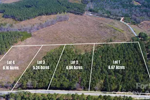 00 Bobby Faucette Rd, Jonesville, SC 29353 - Photo 1