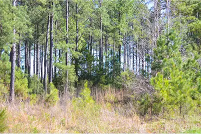 00 Bobby Faucette Road #1, Jonesville, SC 29353 - Photo 12