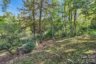 238 Park Ln, Hendersonville, NC 28791 - Photo 48
