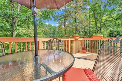 238 Park Lane, Hendersonville, NC 28791 - Photo 44