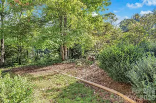 238 Park Ln, Hendersonville, NC 28791 - Photo 46