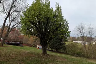 1460 NW Ivy Ln NW, Valdese, NC 28690 - Photo 34