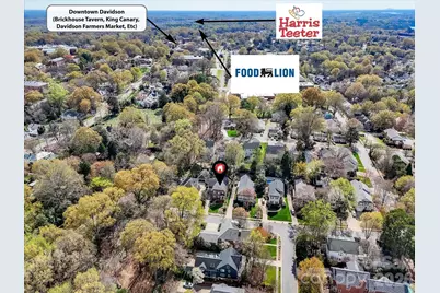 207 Hobbs Street, Davidson, NC 28036 - Photo 40