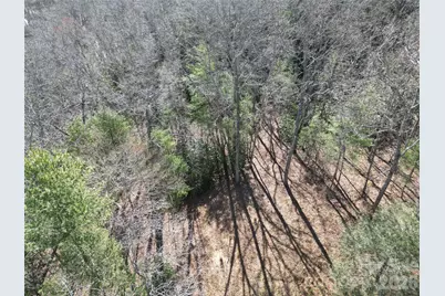 49 Reeds Creek Road, Fairview, NC 28730 - Photo 4