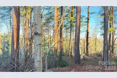 00 Toms Park Circle #21&22, Hendersonville, NC 28792 - Photo 2