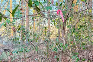 00 Toms Park Circle, Hendersonville, NC 28792 - Photo 1