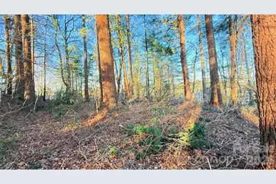 00 Toms Park Circle #21&22, Hendersonville, NC 28792 - Photo 10