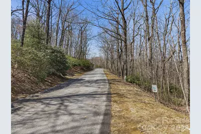 Tbd Wild Magnolia Way #52, Zirconia, NC 28790 - Photo 4
