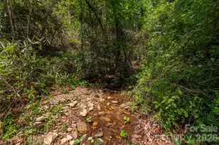 35 Grey Rock Valley, Black Mountain, NC 28711 - Photo 2