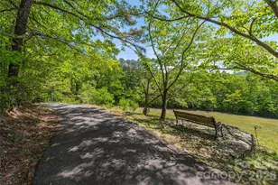 35 Grey Rock Valley, Black Mountain, NC 28711 - Photo 36