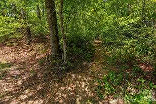 35 Grey Rock Valley, Black Mountain, NC 28711 - Photo 34