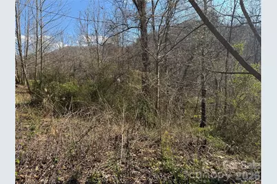 9999 Ox Creek Road, Weaverville, NC 28787 - Photo 1