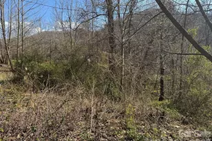 9999 Ox Creek Rd, Weaverville, NC 28787 - Photo 1