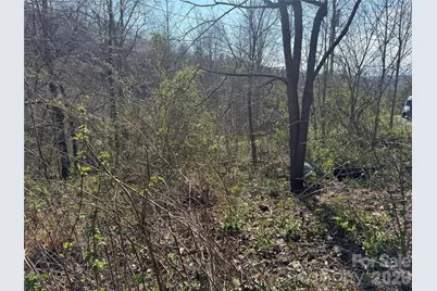 9999 Ox Creek Road, Weaverville, NC 28787 - Photo 8