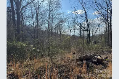 9999 Ox Creek Road, Weaverville, NC 28787 - Photo 4