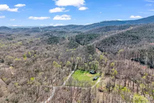 175 Pink Campbell Rd, Landrum, SC 29356 - Photo 46