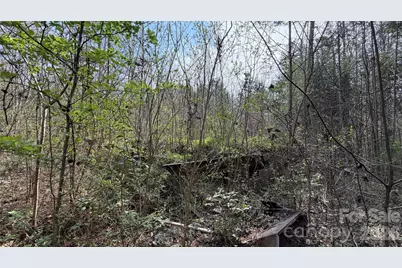 3245 Lark Drive, Denton, NC 27239 - Photo 8