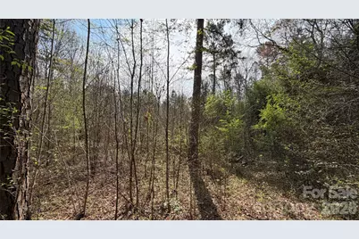 3245 Lark Drive, Denton, NC 27239 - Photo 10