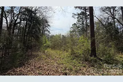 3245 Lark Drive, Denton, NC 27239 - Photo 12