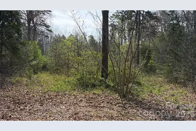 3245 Lark Drive, Denton, NC 27239 - Photo 6