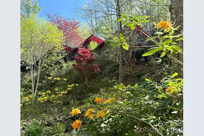 33 Robinson Creek Road, Asheville, NC 28803 - Photo 1