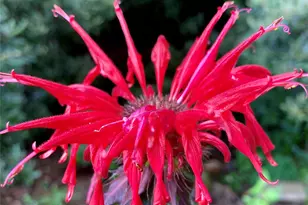 33 Robinson Creek Rd, Asheville, NC 28803 - Photo 30