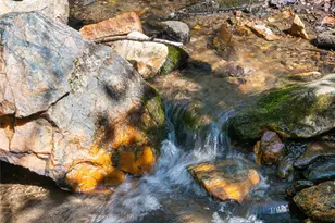 33 Robinson Creek Rd, Asheville, NC 28803 - Photo 34