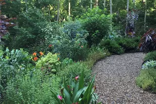 33 Robinson Creek Rd, Asheville, NC 28803 - Photo 38