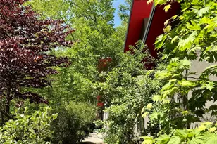 33 Robinson Creek Rd, Asheville, NC 28803 - Photo 26