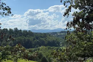 127 Deer Hl Ln, Weaverville, NC 28787 - Photo 28