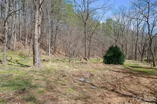 00 Elk Shoals Creek Rd, Burnsville, NC 28714 - Photo 18